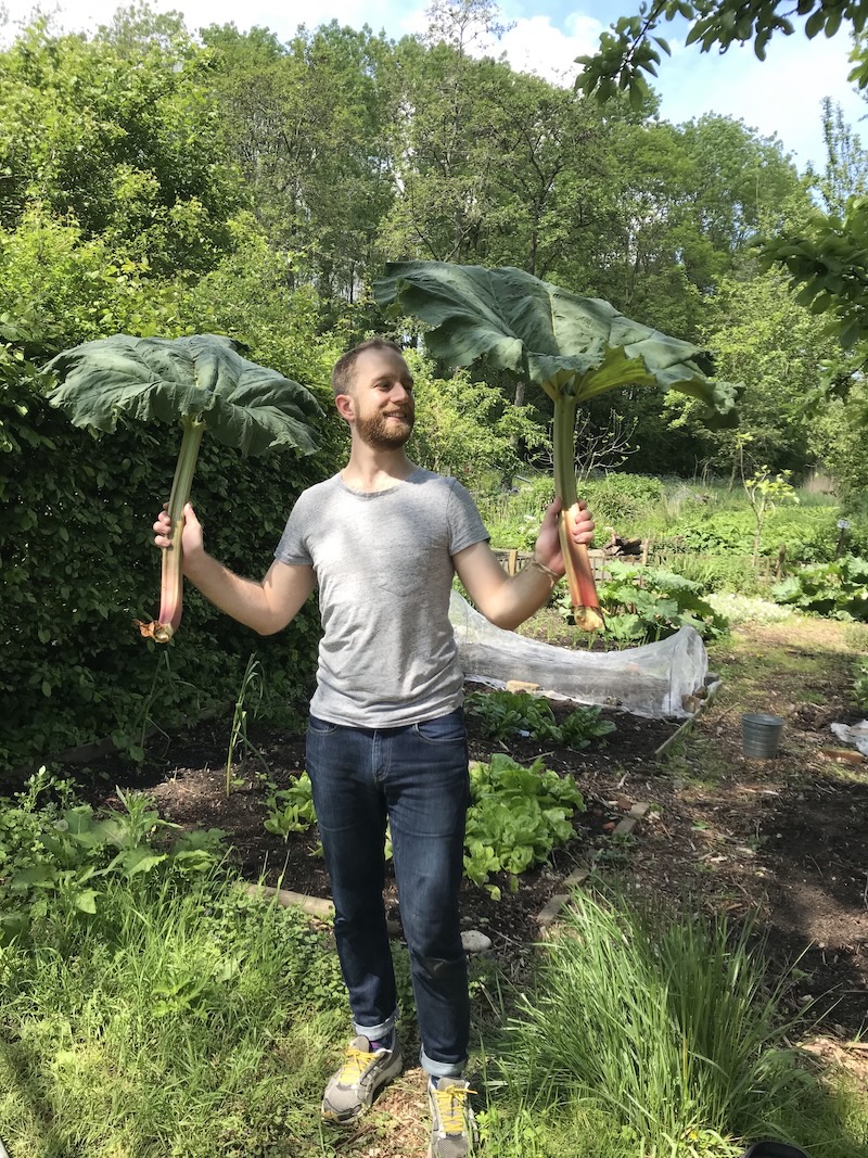 Abel, oprichter Tuinen met Toekomst, houdt rabarber vast uit de moestuin