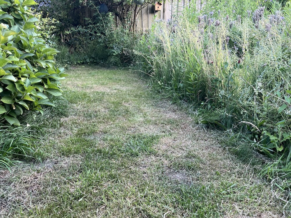 Gazon waar de gevolgen van hitte en droogte zichtbaar zijn